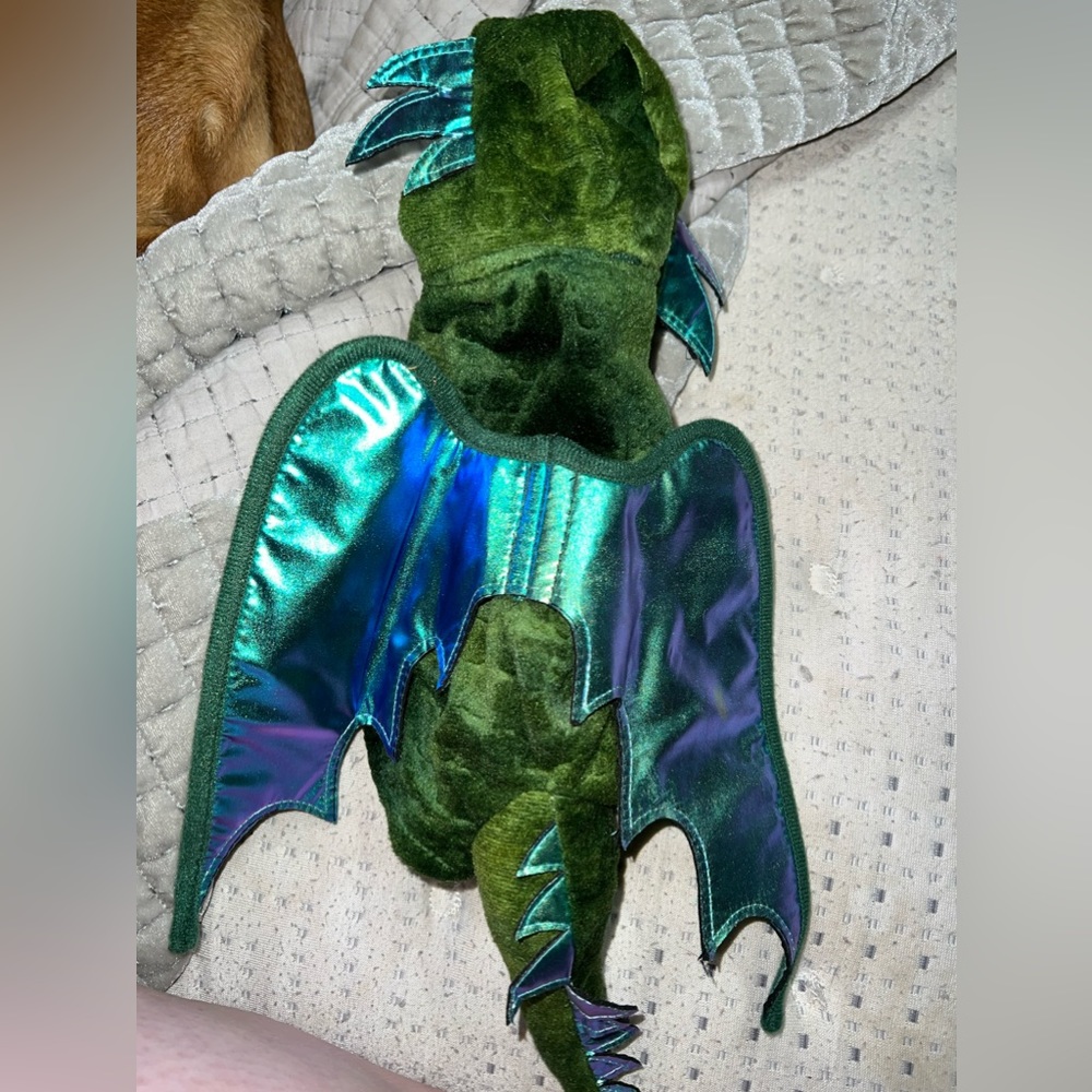Dragon dog Halloween costume